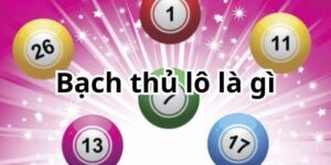 bạch thủ lô là gì